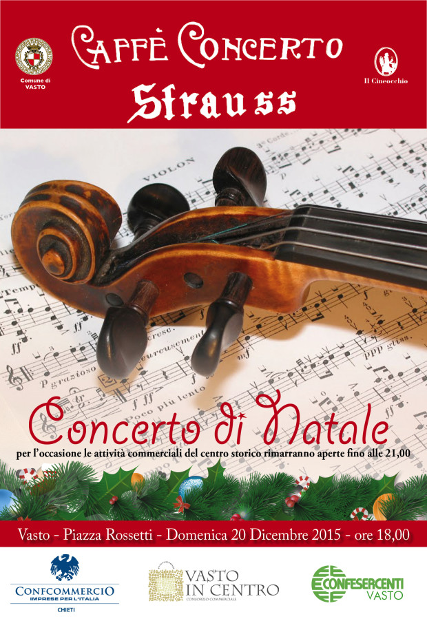 concert strauss IVOS Natale 2015