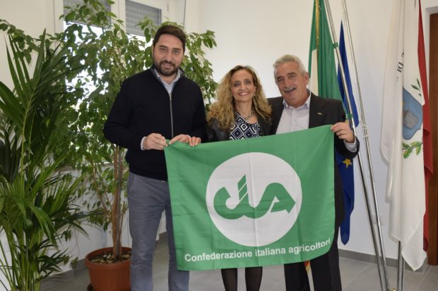 faienza_magnacca_torricella