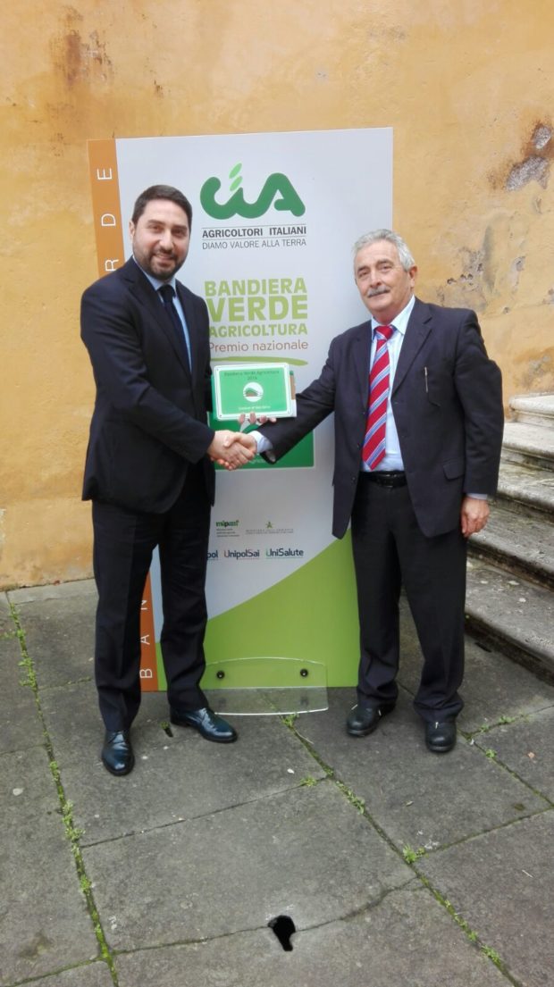 faienza_torricella