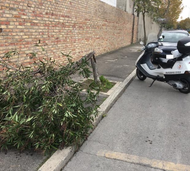 La Protezione Civile interviene nei pressi dell'ingresso principale del cimitero comunale